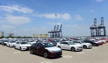 Thông báo tổ chức đấu giá hạn ngạch thuế quan nhập khẩu ô tô đã qua sử dụng năm 2021