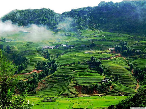 Cao nguy&amp;ecirc;n Mộc Ch&amp;acirc;u