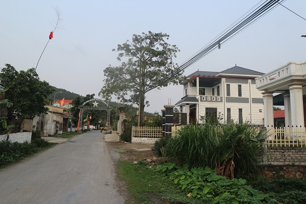 L&amp;agrave;ng qu&amp;ecirc; y&amp;ecirc;n b&amp;igrave;nh khang trang