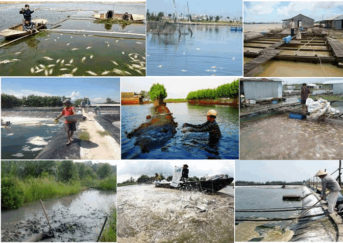 Thủy sản, một trong những ng&amp;agrave;nh đ&amp;atilde; hội nhập s&amp;acirc;u rộng với thị trường quốc tế. Ảnh: Internet