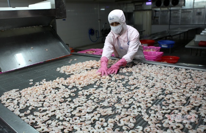 Vừa đ&amp;amp;oacute;n tin vui, thế mạnh 8 tỷ USD của Việt Nam bị cảnh b&amp;amp;aacute;o nguy hiểm