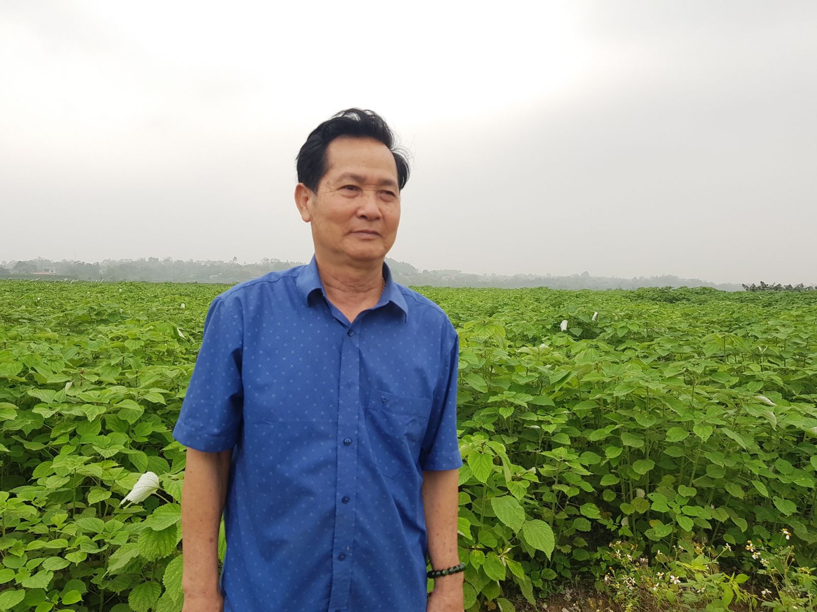 &amp;Ocirc;ng L&amp;ecirc; Minh Chiến- GĐ HTX Cường Thịnh