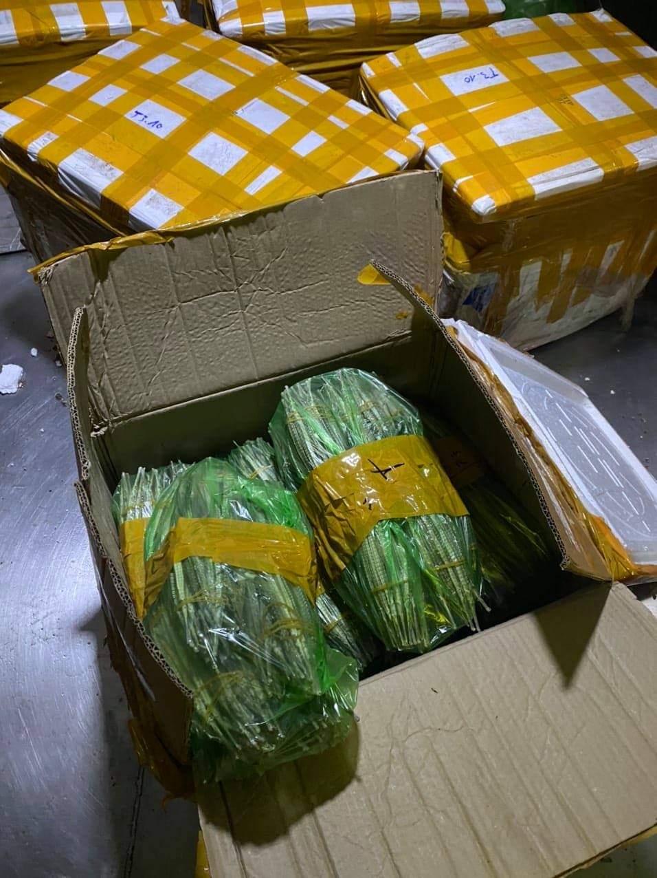 100kg cá hải lạng khô vận chuyển trên xe tải bị CSGT phát hiện và tạm giữ 100kg cá hải lạng khô vận chuyển trên xe tải bị CSGT phát hiện và tạm giữ