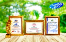 Thanhhangmilk: Đối tác tin cậy của nhiều thương hiệu sữa nổi tiếng