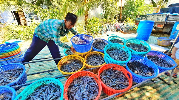 N&amp;ocirc;ng d&amp;acirc;n huyện H&amp;ograve;n Đất c&amp;oacute; nhiều đổi mới, n&amp;ocirc;ng nghiệp ph&amp;aacute;t triển theo hướng sản xuất h&amp;agrave;ng h&amp;oacute;a, ch&amp;uacute; trọng n&amp;acirc;ng cao chất lượng sản phẩm.