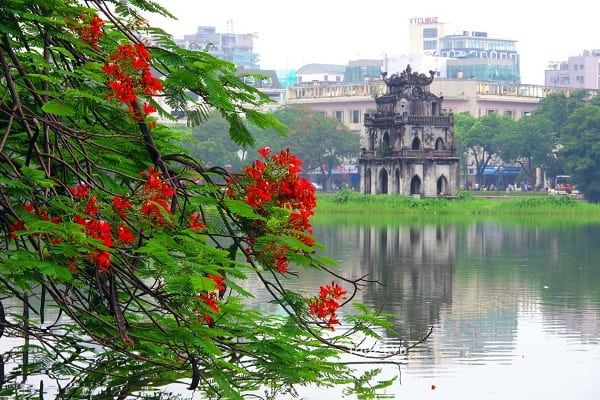 Ảnh minh họa