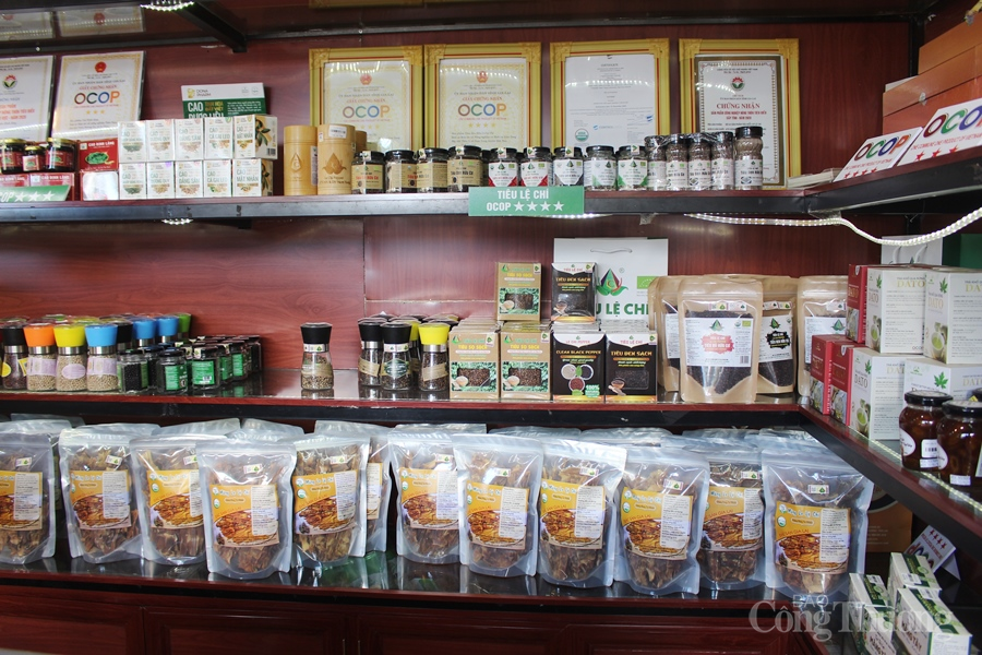 Các sản phẩm công nghiệp nông thôn Gia Lai ngày càng được nâng cao về chất lượng Các sản phẩm công nghiệp nông thôn Gia Lai ngày càng được nâng cao về chất lượng