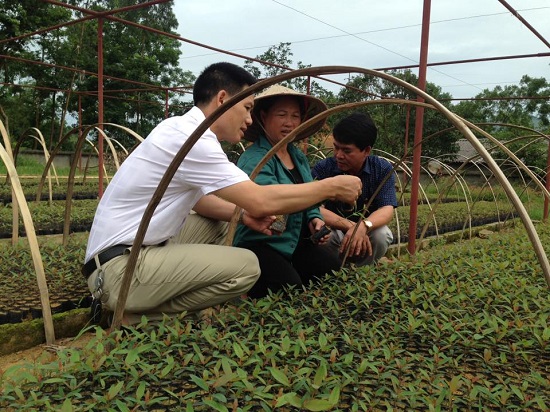 Đảm bảo cung ứng đủ cây giống cho trồng rừng Đảm bảo cung ứng đủ cây giống cho trồng rừng
