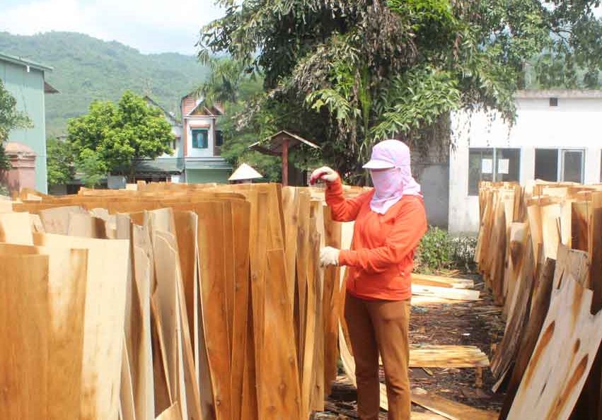 Nh&amp;agrave; m&amp;aacute;y chế biến l&amp;acirc;m sản (C&amp;ocirc;ng ty CP Sơn Thủy) x&amp;atilde; M&amp;ocirc;ng H&amp;oacute;a, TP H&amp;ograve;a B&amp;igrave;nh đẩy mạnh SX-KD, g&amp;oacute;p phần tăng gi&amp;aacute; trị h&amp;agrave;ng h&amp;oacute;a của tỉnh.