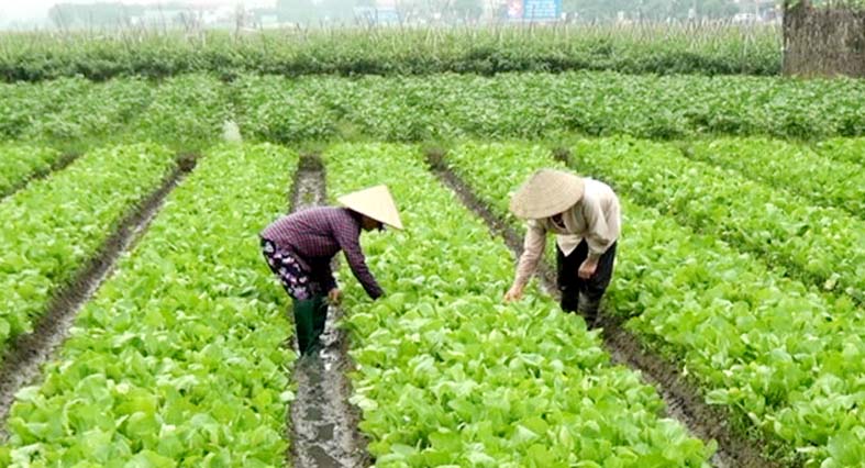 Ảnh minh họa Ảnh minh họa