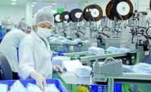 Từ 15-3, tạm ngừng kinh doanh tạm nhập, tái xuất khẩu trang, găng tay y tế