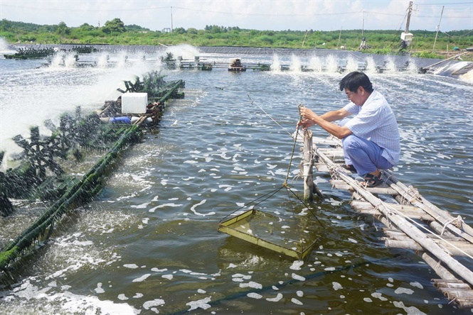 Năm 2022 ng&amp;agrave;nh t&amp;ocirc;m đặt mục ti&amp;ecirc;u xuất khẩu tr&amp;ecirc;n 4 tỷ USD