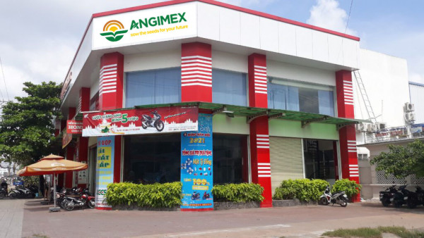 Angimex muốn tăng vốn 130% trong quý I/2022