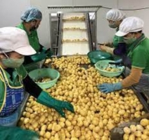 Bài toán nâng cao công nghệ sau thu hoạch đối với hàng nông sản?