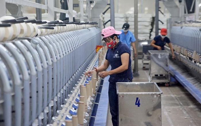 H&amp;agrave; Tĩnh: Khu vực dịch vụ chiếm hơn 61% cơ cấu lao động