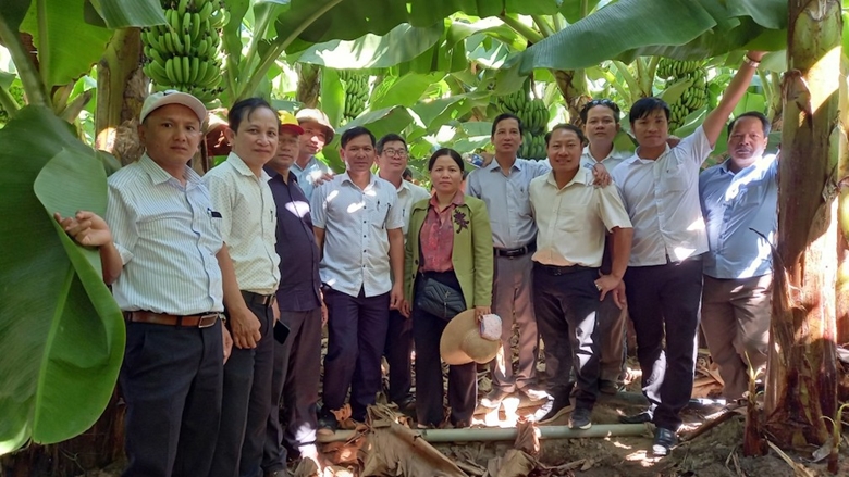 Đo&amp;agrave;n c&amp;ocirc;ng t&amp;aacute;c của c&amp;aacute;c cơ quan chức năng huyện Nam Giang khảo s&amp;aacute;t, đ&amp;aacute;nh gi&amp;aacute; m&amp;ocirc; h&amp;igrave;nh trồng chuối tr&amp;ecirc;n địa b&amp;agrave;n.