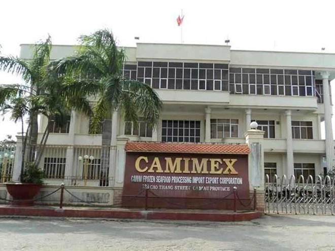 Camimex Group