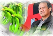 Hoàng Anh Gia Lai muốn huy động 1.200 tỷ đồng để đầu tư vào nông nghiệp