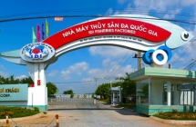 Đầu tư và Phát triển Đa Quốc Gia - IDI đặt mục tiêu lợi nhuận 2022 gấp gần 7 lần năm ngoái