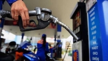 Từ 1/4, giảm 50% mức thuế bảo vệ môi trường với xăng, dầu