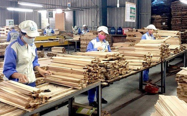 Chế biến Gỗ Thuận An th&amp;ocirc;ng qua kế hoạch sản xuất kinh doanh 2023