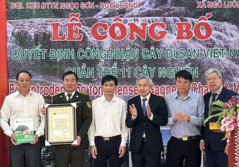 Ban quản l&amp;yacute; Khu bảo tồn thi&amp;ecirc;n nhi&amp;ecirc;n Ngọc Sơn - Ngổ Lu&amp;ocirc;ng đ&amp;oacute;n nhận bằng c&amp;ocirc;ng nhận quần thể 11 c&amp;acirc;y nghiến l&amp;agrave; C&amp;acirc;y di sản Việt Nam