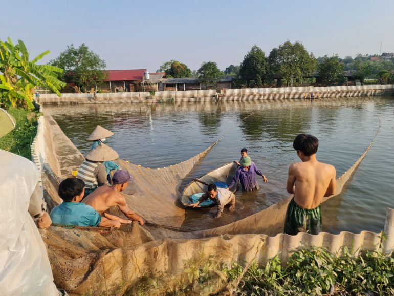 Khai th&amp;aacute;c thủy sản tại x&amp;atilde; Văn Kh&amp;uacute;c, huyện Cẩm Kh&amp;ecirc;