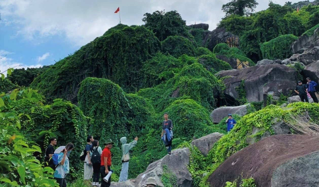 Ảnh minh họa