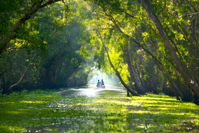 &amp;ldquo;Anh đi anh nhớ qu&amp;ecirc; nh&amp;agrave;    Nhớ ong h&amp;uacute;t mật, nhớ tr&amp;agrave;m Tr&amp;agrave; Sư.&amp;rdquo;