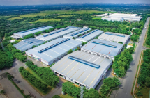Năm 2023, Cao su Phước Hòa đặt mục tiêu lãi sau thuế giảm 36%