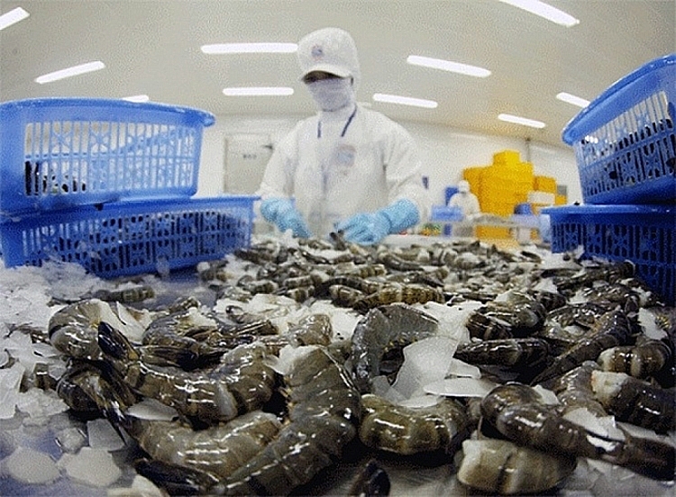VASEP muốn bỏ hạn ngạch xuất khẩu với t&amp;ocirc;m Việt Nam sang H&amp;agrave;n Quốc