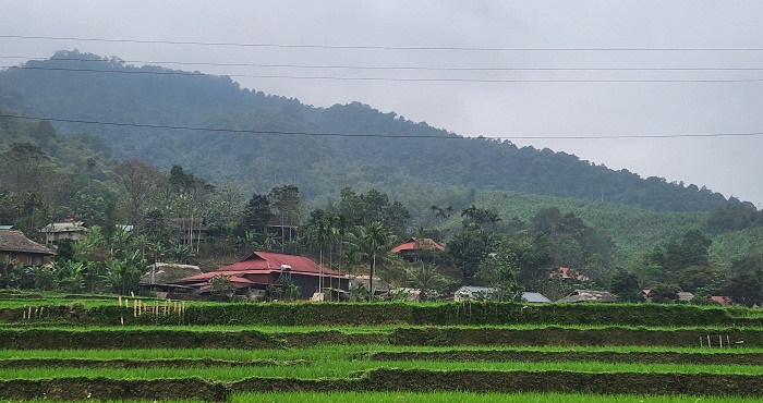 Bản Ng&amp;agrave;y nằm cheo veo b&amp;ecirc;n sườn n&amp;uacute;i với 150 hộ thu nhập chủ yếu dựa v&amp;agrave;o khai th&amp;aacute;c rừng