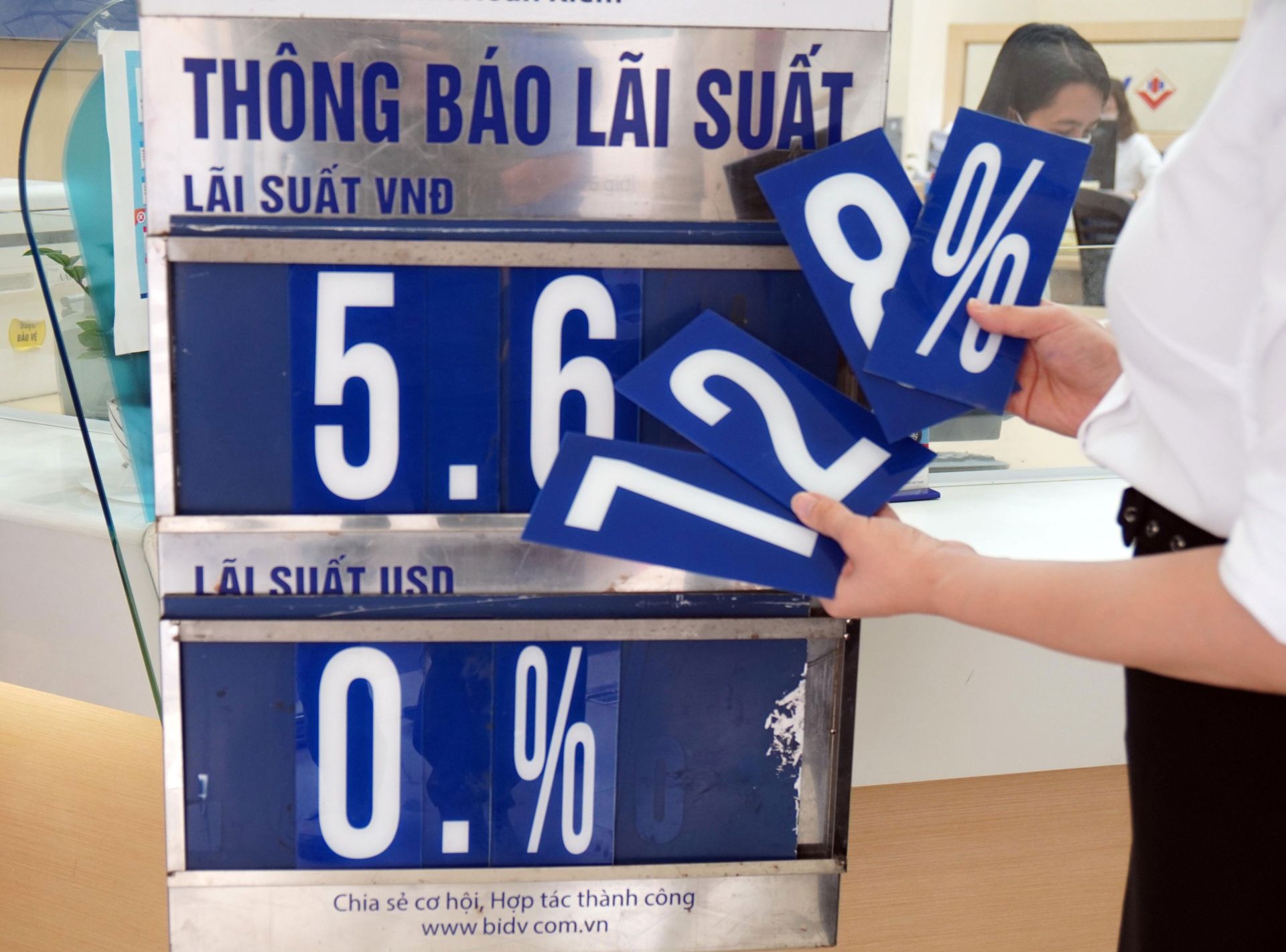 Ảnh minh họa