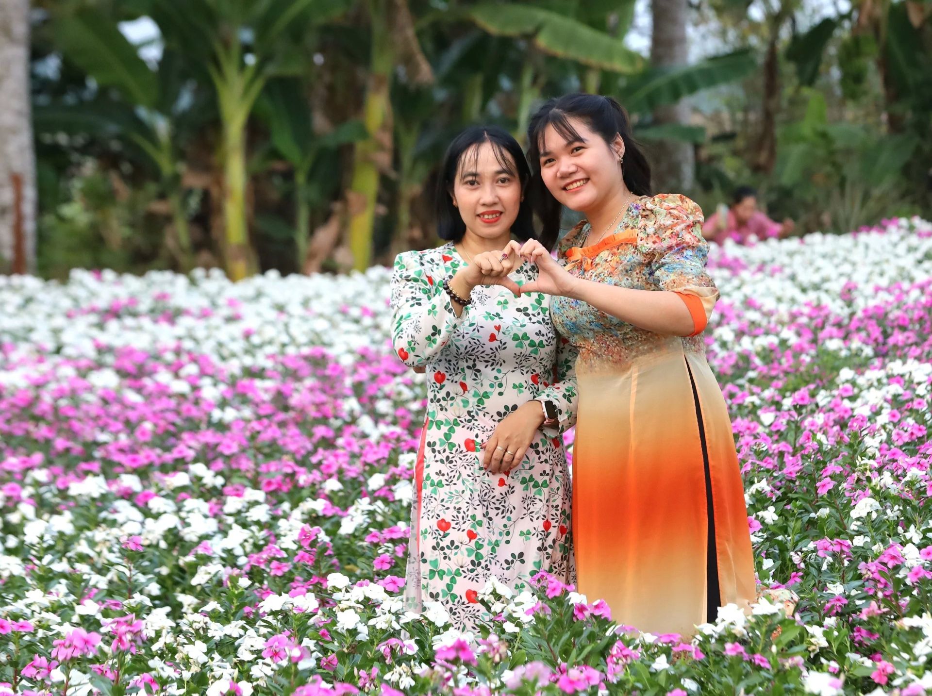 Với vẻ đẹp ngất ng&amp;acirc;y của vườn hoa dừa cạn sẽ l&amp;agrave; nơi l&amp;yacute; tưởng để bạn b&amp;egrave; lưu lại những h&amp;igrave;nh ảnh đẹp.