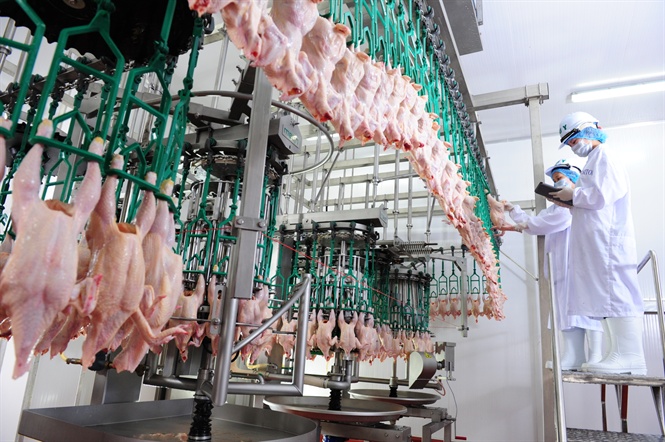 Kiến nghị giải ph&amp;aacute;p kiểm so&amp;aacute;t chặt chẽ việc nhập khẩu sản phẩm chăn nu&amp;ocirc;i