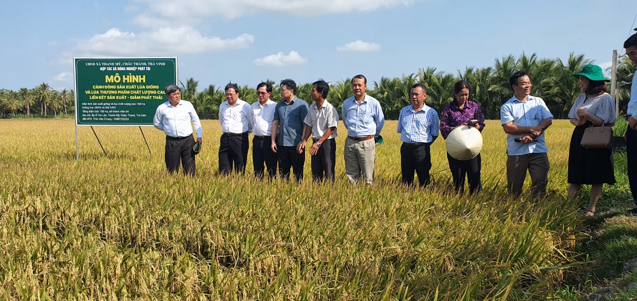 Thứ trưởng Trần Thanh Nam c&amp;ugrave;ng Trung t&amp;acirc;m khuyến n&amp;ocirc;ng quốc gia đi thăm m&amp;ocirc; h&amp;igrave;nh tại HTX Ph&amp;aacute;t T&amp;agrave;i, Ch&amp;acirc;u Th&amp;agrave;nh, Tr&amp;agrave; Vinh