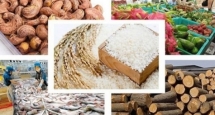 Doanh nghiệp nông, lâm, thủy sản Việt Nam: Chuyển hướng tiếp cận và chinh phục thị trường chất lượng cao