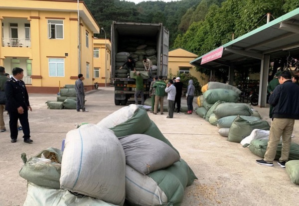 C&amp;aacute;c đối tượng bu&amp;ocirc;n lậu d&amp;ugrave;ng thủ đoạn tr&amp;agrave; trộn h&amp;agrave;ng h&amp;oacute;a v&amp;agrave; đ&amp;aacute;nh tr&amp;aacute;o mo&amp;oacute;c container để qua mặt lực lượng chức năng