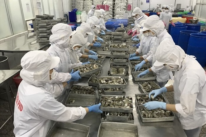 Xuất khẩu thủy sản đạt nhiều t&amp;iacute;n hiệu t&amp;iacute;ch cực  Ảnh tư liệu