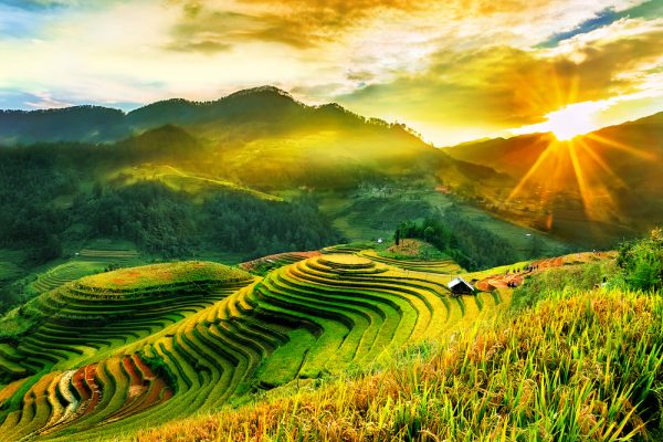 Ảnh minh họa, nguồn internet