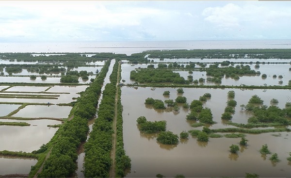 Đất n&amp;ocirc;ng nghiệp m&amp;agrave; kh&amp;ocirc;ng trực tiếp sản xuất n&amp;ocirc;ng nghiệp th&amp;igrave; UBND c&amp;aacute;c x&amp;atilde;, thị trấn kiểm tra, lập thủ tục b&amp;aacute;o c&amp;aacute;o UBND huyện V&amp;acirc;n Đồn ra quyết định thu hồi
