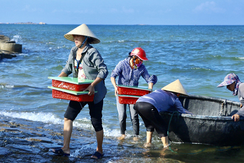 Thủy hải sản H&amp;agrave; Tĩnh đắt kh&amp;aacute;ch, doanh nghiệp nhiều cơ hội