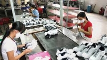 CPTPP đang tạo ra những tác động ban đầu tích cực