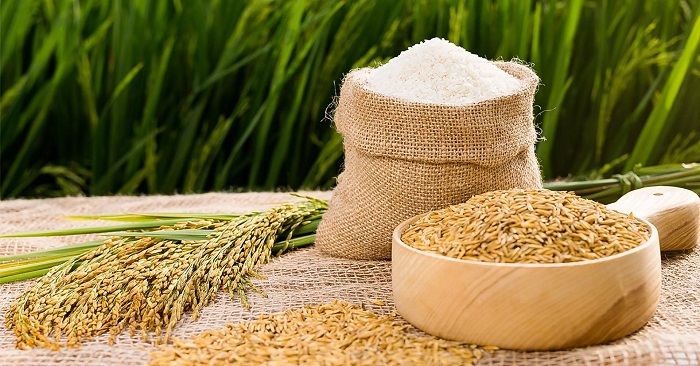 Gi&amp;aacute; l&amp;uacute;a đ&amp;ocirc;ng xu&amp;acirc;n th&amp;aacute;ng 3 giảm nhẹ nhưng vẫn ở mức cao