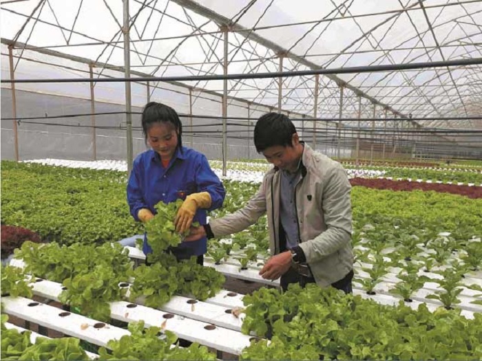 Việc ứng dụng hướng tới lu&amp;ocirc;n đảm bảo nguồn cung cho chuỗi thực phẩm trong nước  Ảnh tư liệu