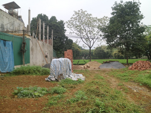 Kiến nghị thu hồi đất đối với dự án của Công ty TNHH MTV Đầu tư và Phát triển nông nghiệp Hà Nội là có cơ sở