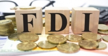 Việt Nam là điểm đến đầu tư hấp dẫn của các Doanh nghiệp FDI