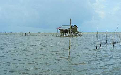 Khu nu&amp;ocirc;i s&amp;ograve; huyết ở x&amp;atilde; T&amp;acirc;y Y&amp;ecirc;n, huyện An Bi&amp;ecirc;n