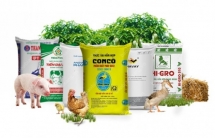 Kiến nghị xem xét bãi bỏ các thủ tục hợp quy thức ăn chăn nuôi