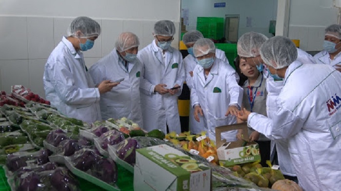 Ng&amp;agrave;nh n&amp;ocirc;ng nghiệp x&amp;aacute;c định việc n&amp;acirc;ng cao chất lượng nhằm đ&amp;aacute;p ứng c&amp;aacute;c thị trường nhập khẩu tiếp tục l&amp;agrave; kh&amp;acirc;u then chốt để đạt được mục ti&amp;ecirc;u. Ảnh: Internet